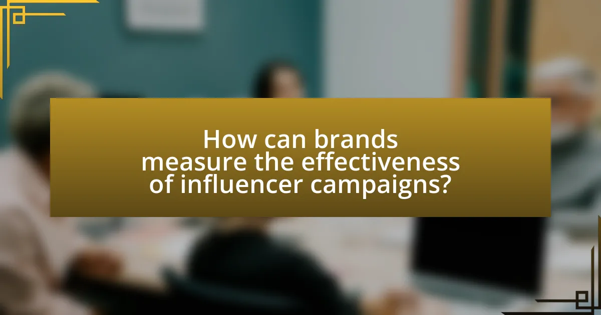 How can brands measure the effectiveness of influencer campaigns?